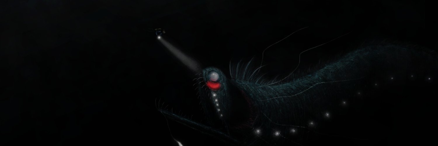 XProFades's profile banner image