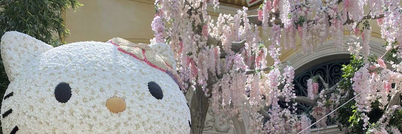 bean 💖💫✨ banner