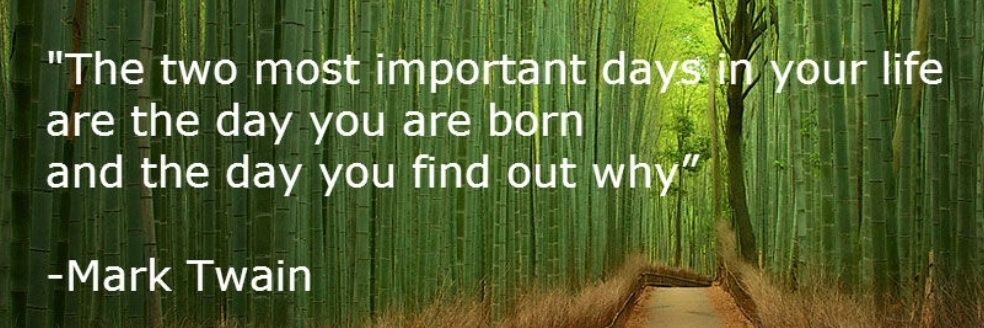 JoleneMarchant's profile banner image