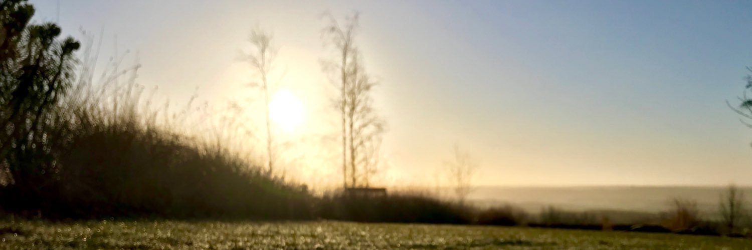 AndiWisk's profile banner image