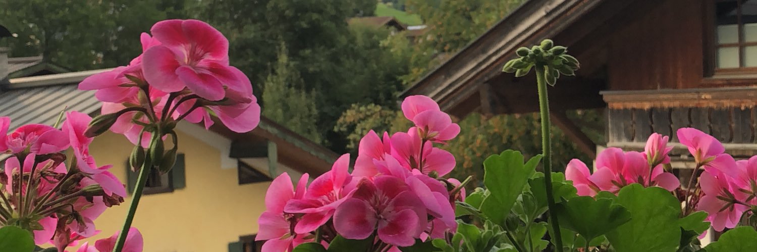 احمد السناني banner