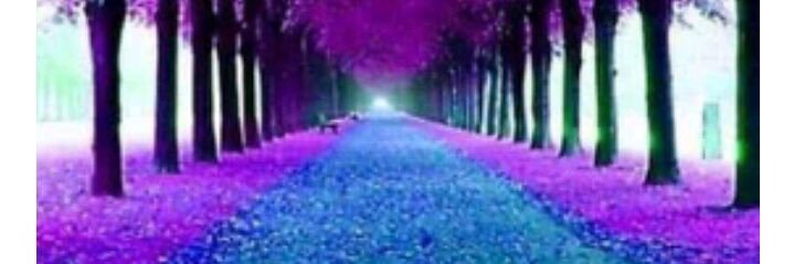 talal_o_'s profile banner image