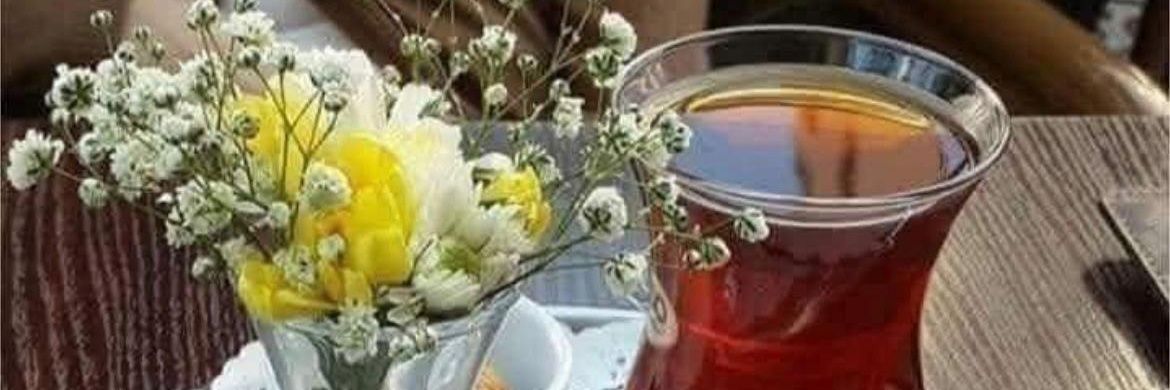Ahmet Riza banner