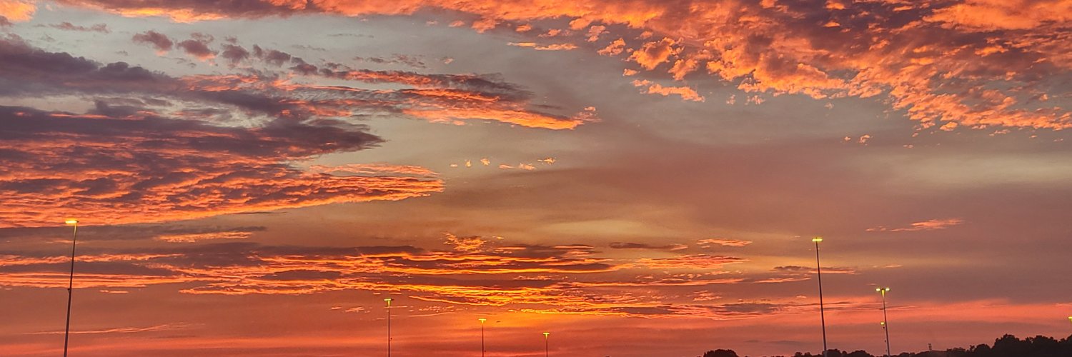 BurnBrigettes's profile banner image