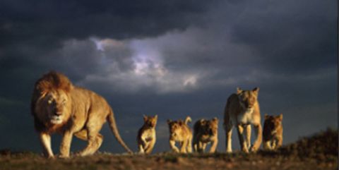 MAmspacher's profile banner image