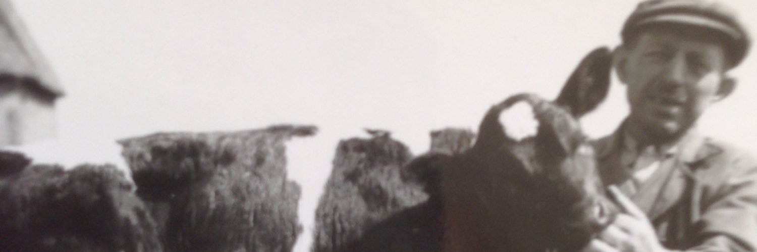 Harm van der Dong banner