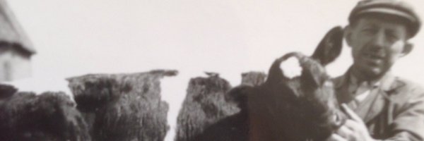 Pakikomi Profile Banner