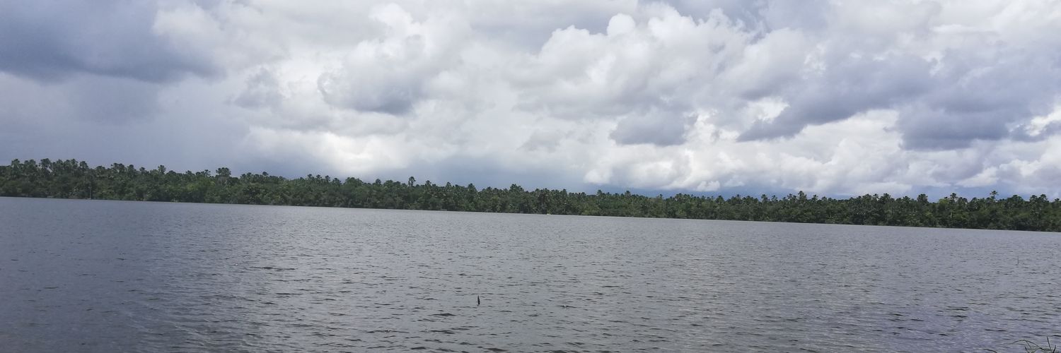 lmarinavp's profile banner image