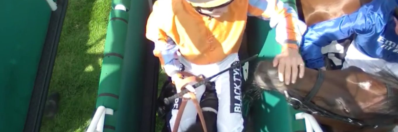 Bazza The Bin Man banner