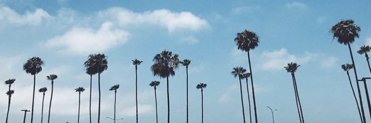Jordan_willis_'s profile banner image