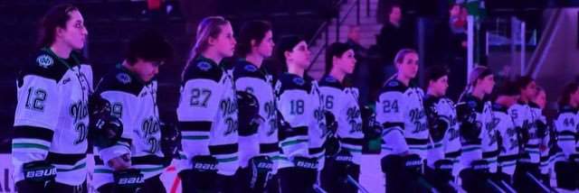 Sarah Lecavalier banner