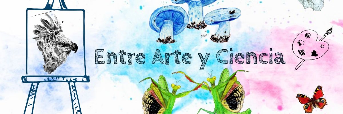 AleMontse_'s profile banner image
