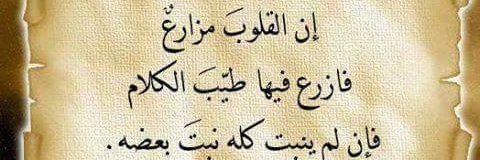 77_thamir's profile banner image