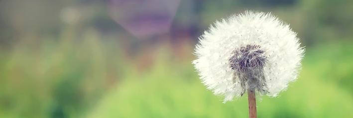 pathakdpa's profile banner image