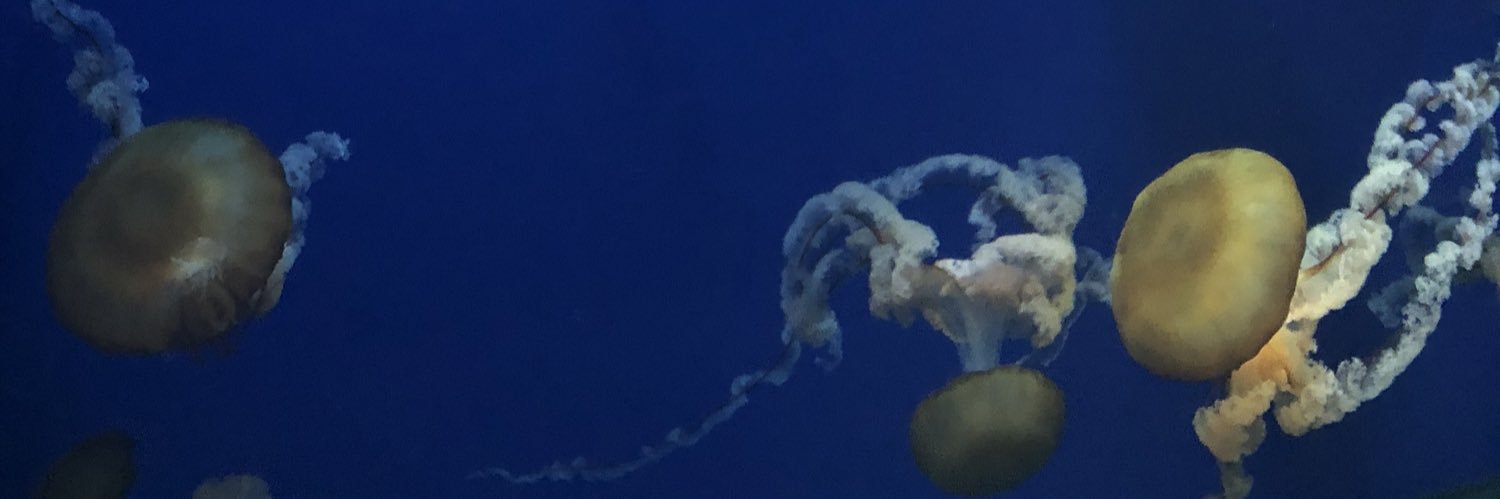 mickakeys's profile banner image