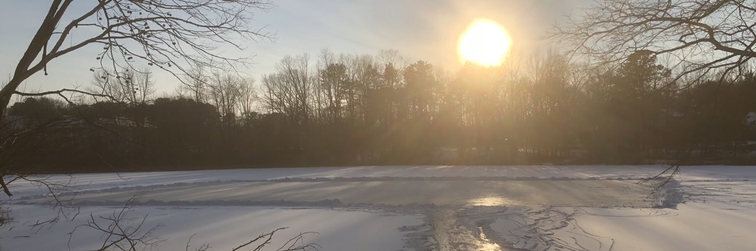 LittleFerrell5's profile banner image