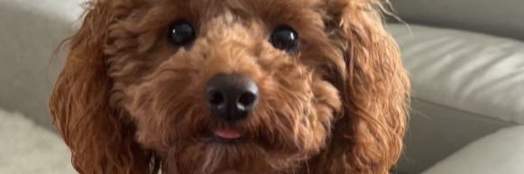 chadzani's profile banner image