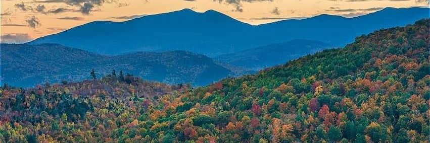 IWT_org's profile banner image