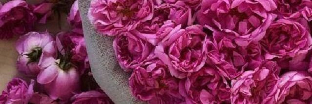 al_daann's profile banner image