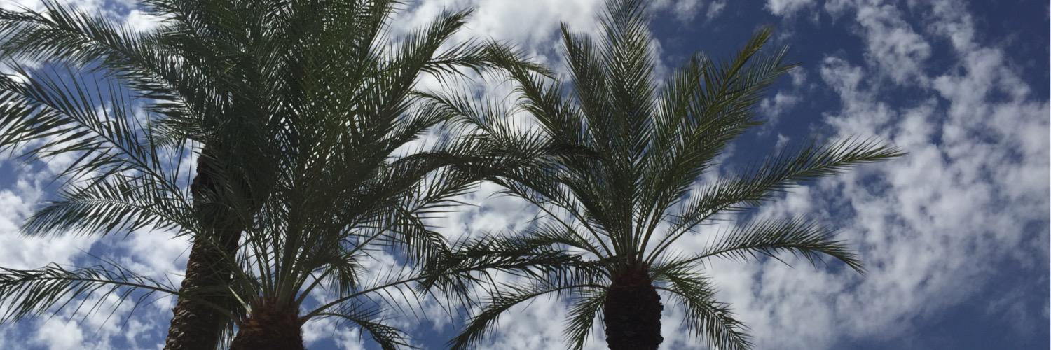 JordanIkeler's profile banner image