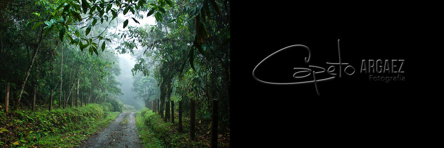 CapetoFoto's profile banner image