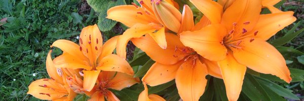 ItisDiane Profile Banner