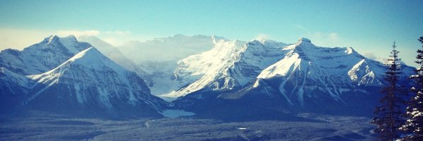 DrTomQ Profile Banner