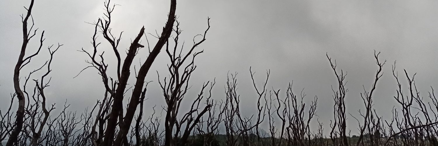 rezkirhdn's profile banner image