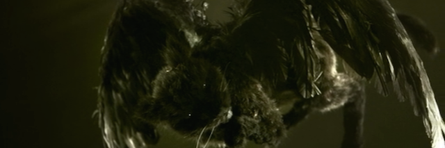 GattoGateaux's profile banner image