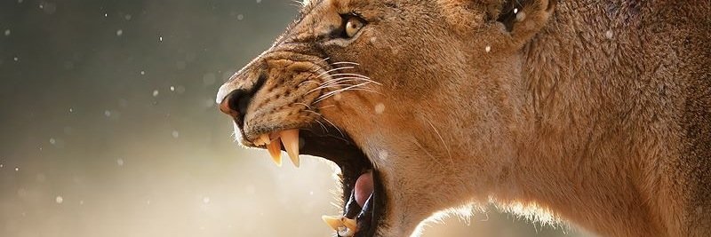 pall_com's profile banner image