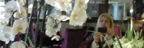 FernnMara's profile banner image