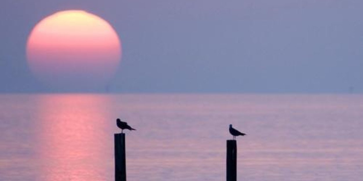 UGoodU's profile banner image