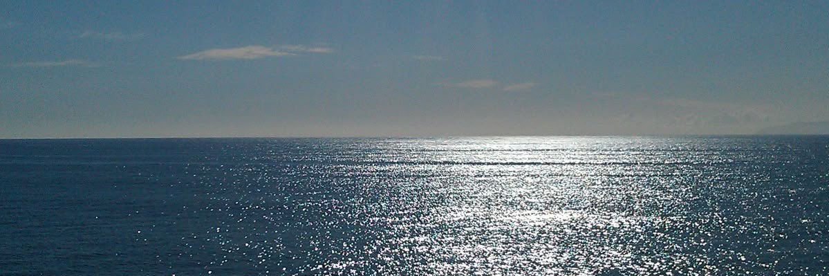 MaraCeT's profile banner image