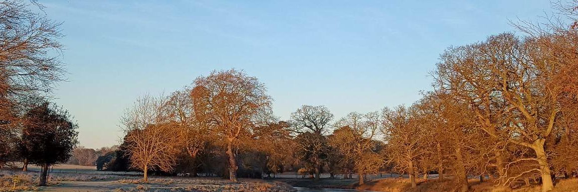 Lucy 🇪🇺💙 banner