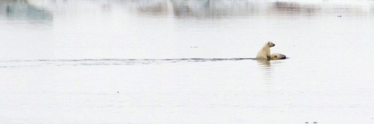 MDamborenea's profile banner image