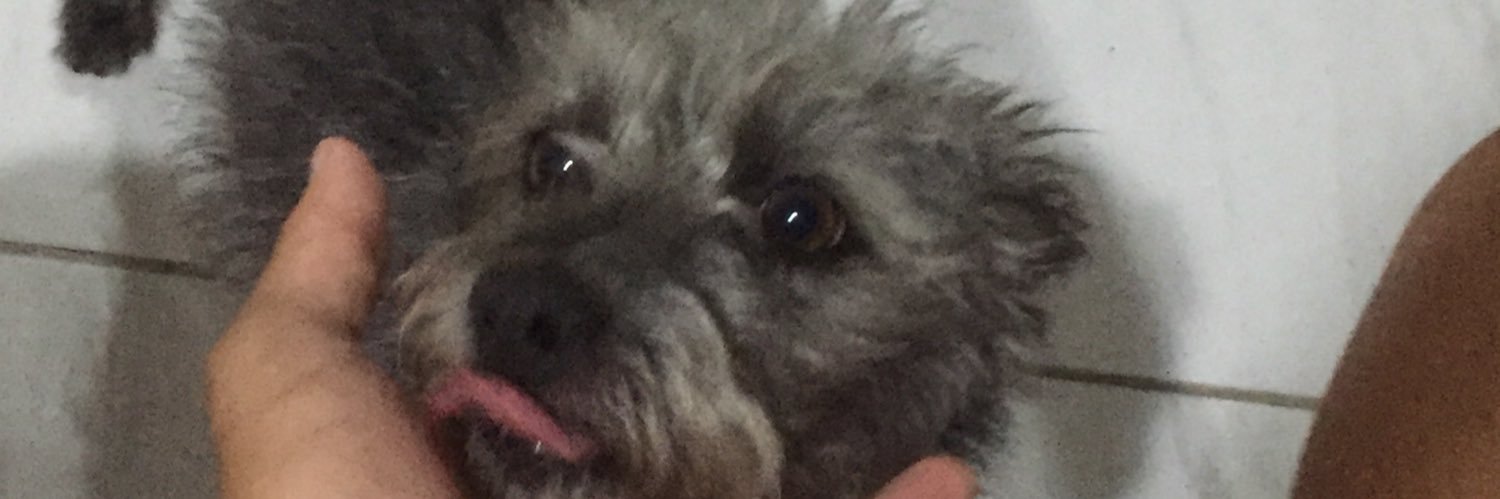 rafaelblac's profile banner image