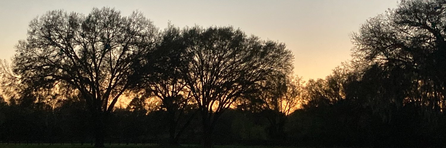 Jay_Tay_13's profile banner image