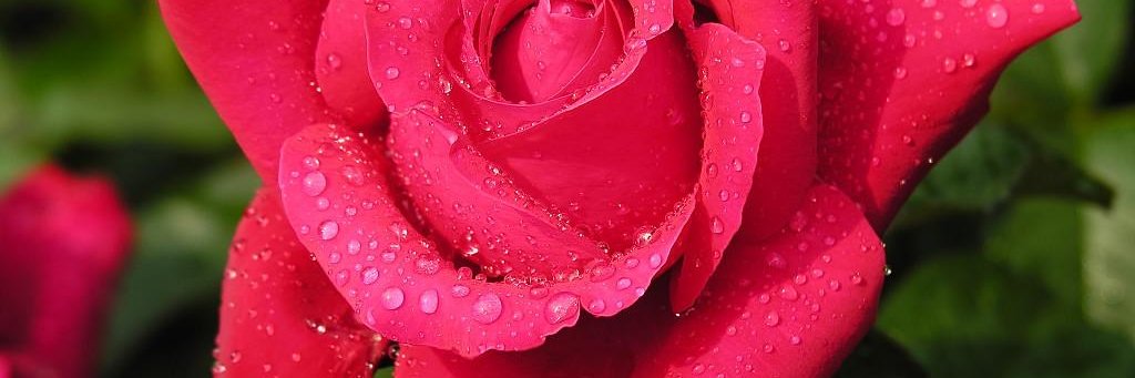 Fa45896609's profile banner image