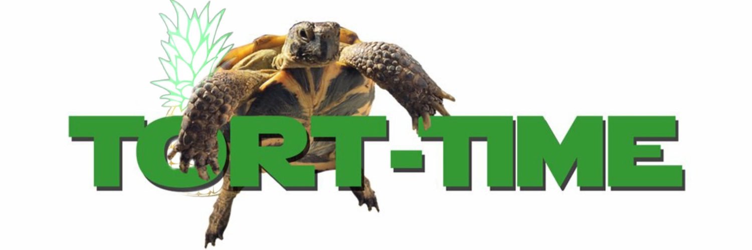 TortTime's profile banner image