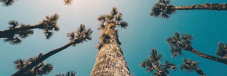 kelsMck14's profile banner image