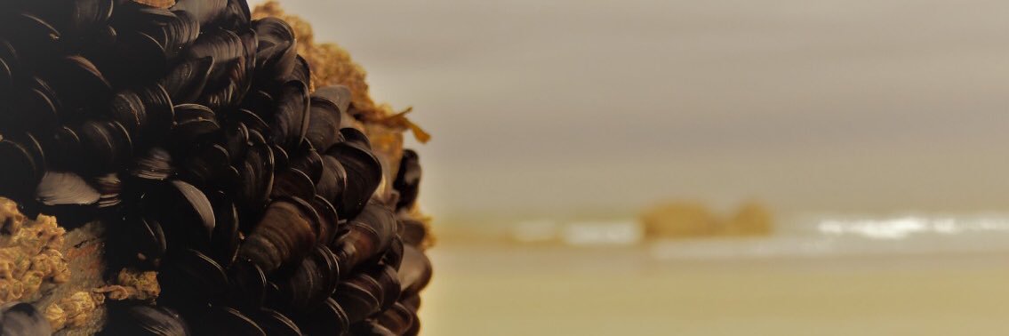 Alex Jaimes banner
