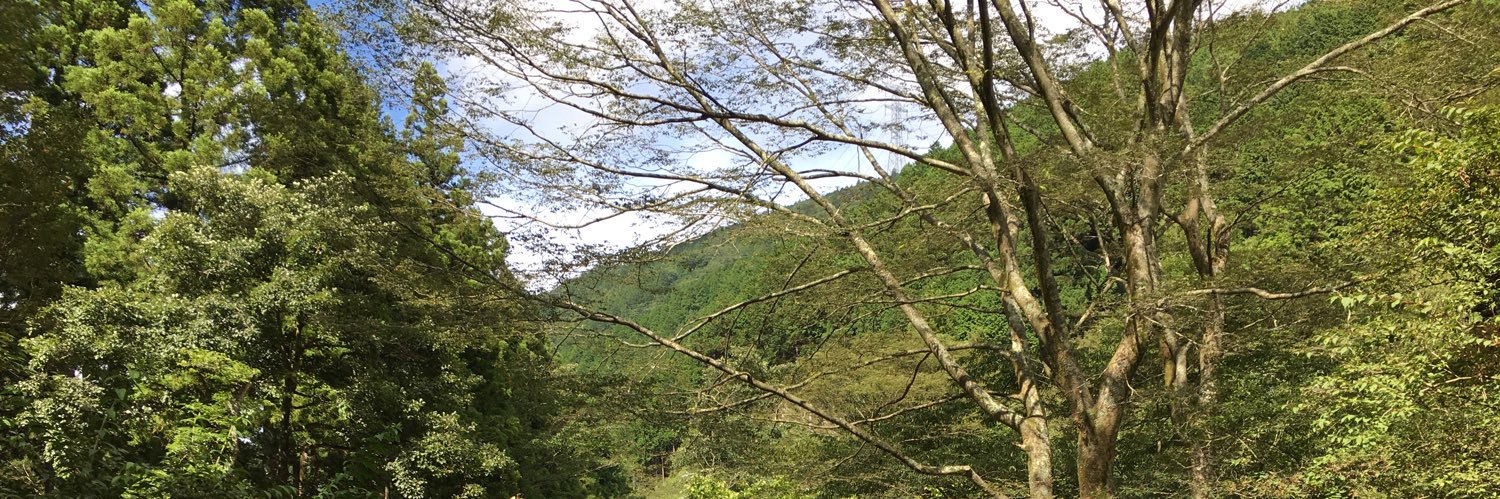 hachiblog2021's profile banner image