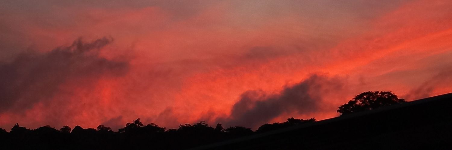 seco_tw's profile banner image
