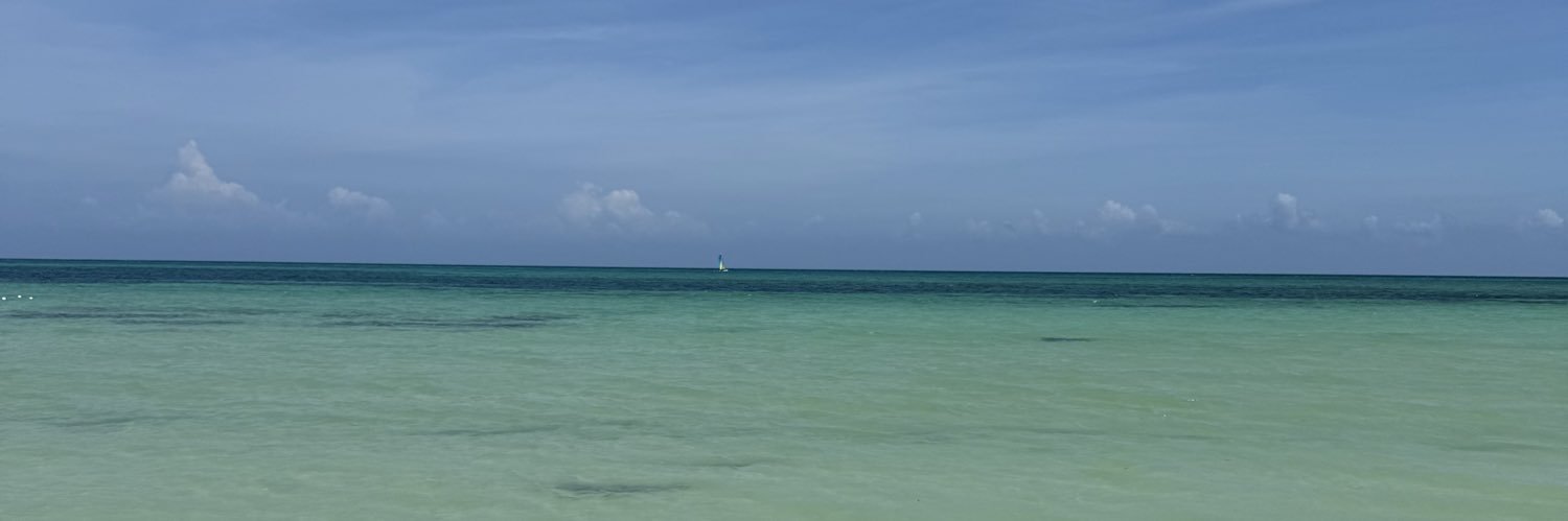 melochoaa's profile banner image