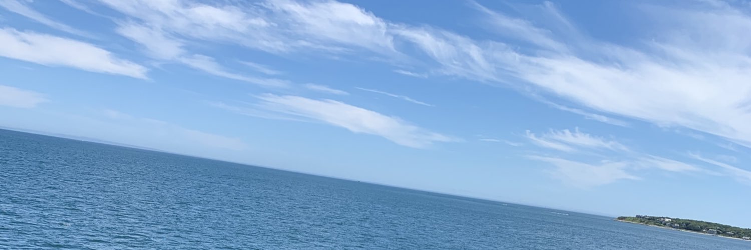 rizzigator's profile banner image