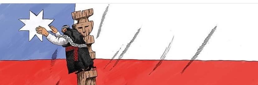 PolilliFrohlich's profile banner image