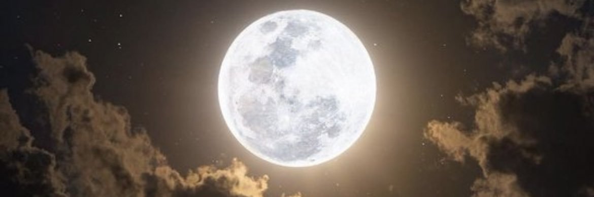 xtra_steph's profile banner image