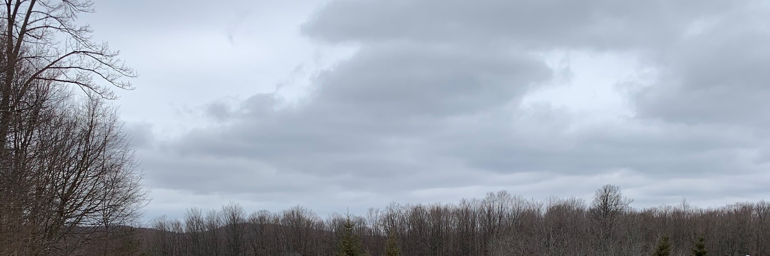 morgzzz99's profile banner image