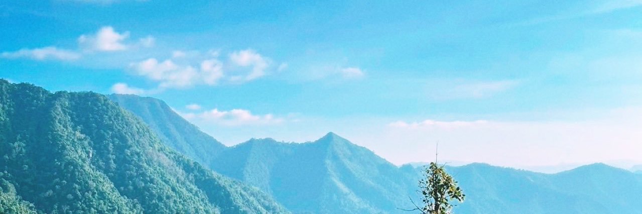 appappleko's profile banner image