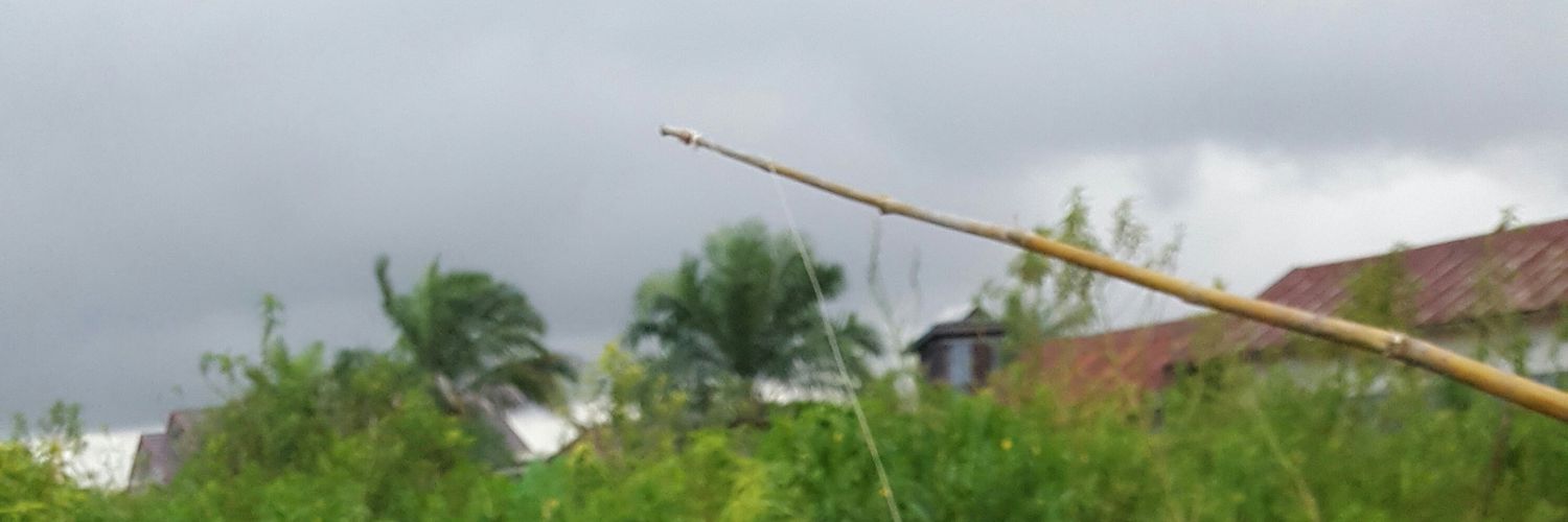 Negeriimpianku's profile banner image